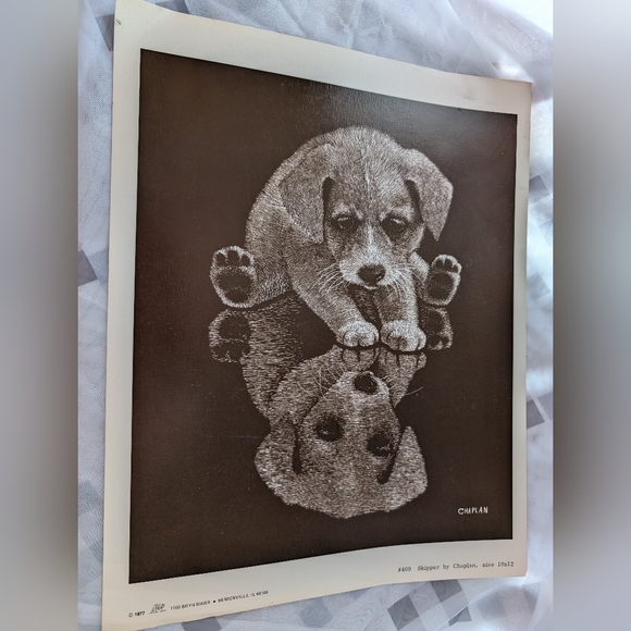 Puppy Reflection Lithographic print Vintage Douglass Dog By Chaplan #409 - Picture 1 of 2